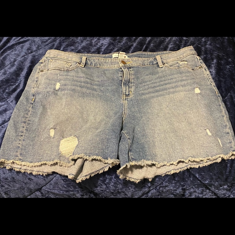 lane bryant bermuda shorts